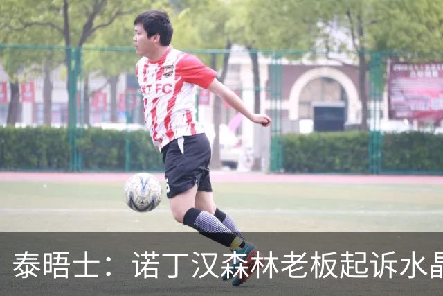 泰晤士：诺丁汉森林老板起诉水晶宫，因其球迷举关于他的争议横幅